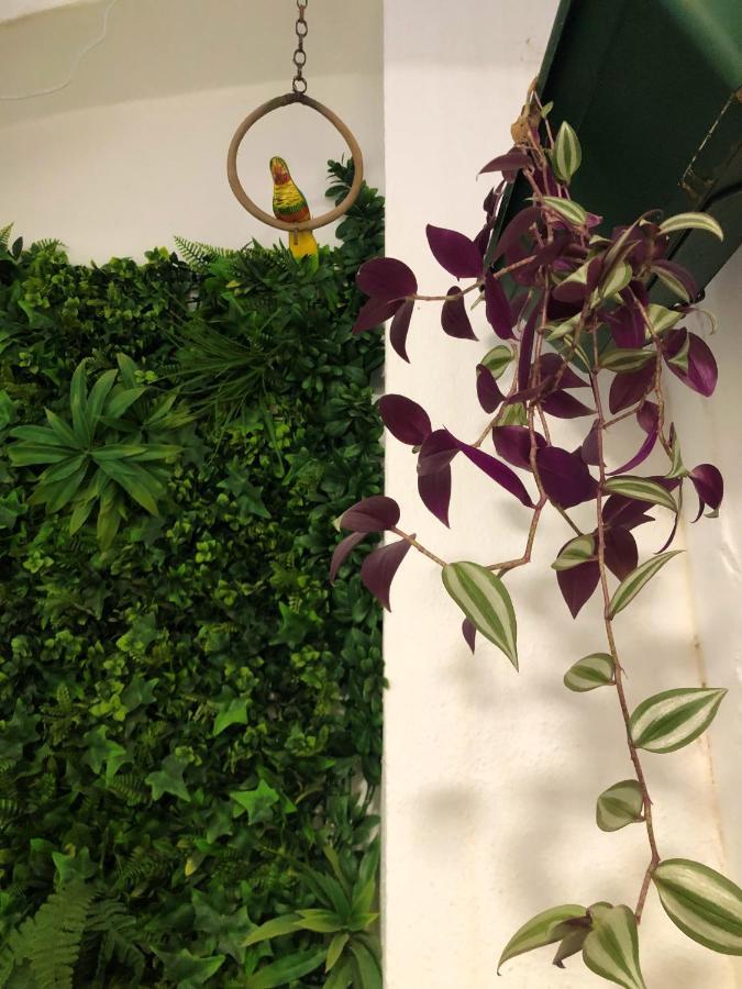 Naturehouse كامبو مايور المظهر الخارجي الصورة
